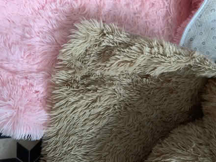Photo of free Fluffy Floor Rugs (HX3) #1
