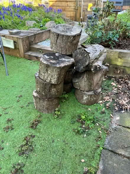 Photo of free Seasoned Firewood (Arnold, NG5) #2