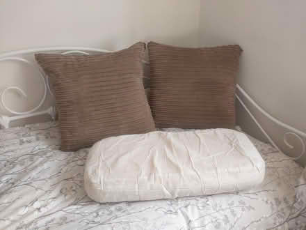 Photo of free Cushions x3 (Slindon common BN18) #1
