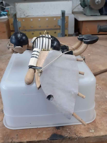 Photo of free Intrepid Birdman (Lightwater Ward GU18) #2