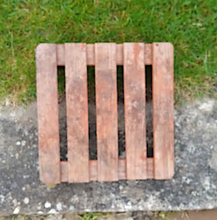 Photo of free Plant Pot Stand (St Austell) #1