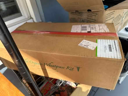 Photo of free Organic wheat grass kit (Park View - Colombia Heights) #1