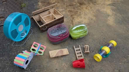Photo of free Hamster accessories (Hampden Park BN22) #1