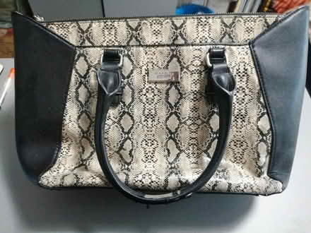 Photo of free Fiorelli handbag (BD2) #1
