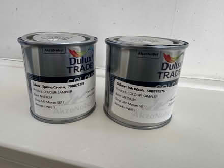 Photo of free 2 ful Dulux paint samplers - blues (Elephant and Castle) #1