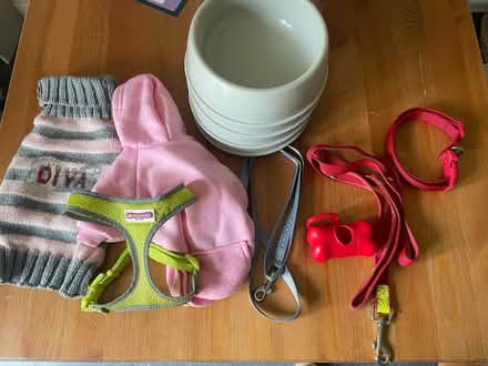 Photo of free Dog pet bundle (Leeds LS11) #1