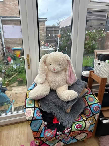 Photo of free Large cream bunny (Peachcroft OX14) #2