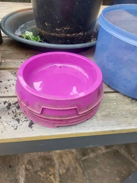 Photo of free New Cat or dog bowls (SW16) #1