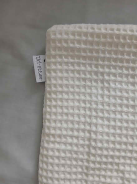 Photo of free Coverlet mosses basket (Blackbird Leys OX4) #4