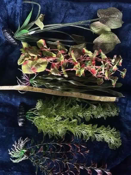 Photo of free Artificial aquarium plants (Roby L14) #2