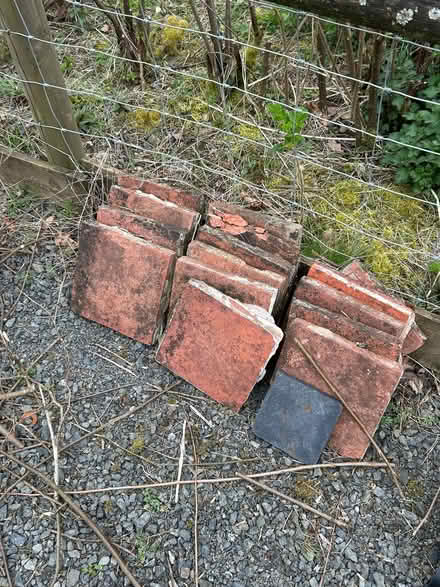 Photo of free Old floor tiles (Forest Wood LD8) #1