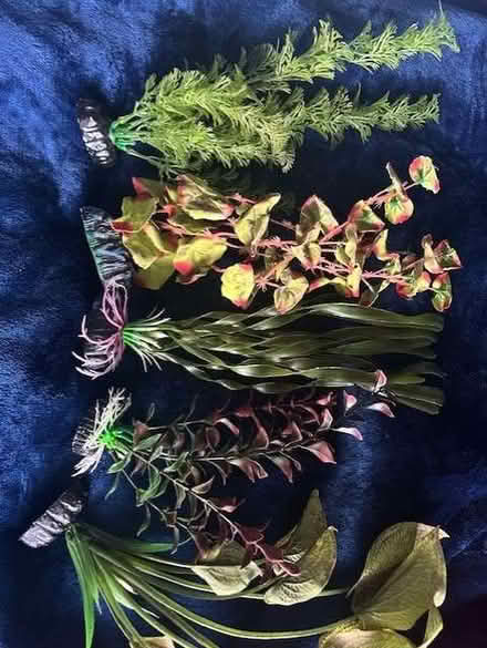 Photo of free Artificial aquarium plants (Roby L14) #3