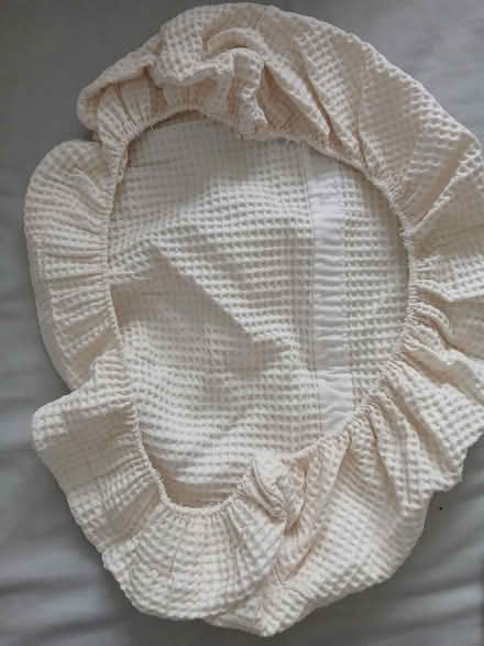 Photo of free Coverlet mosses basket (Blackbird Leys OX4) #1