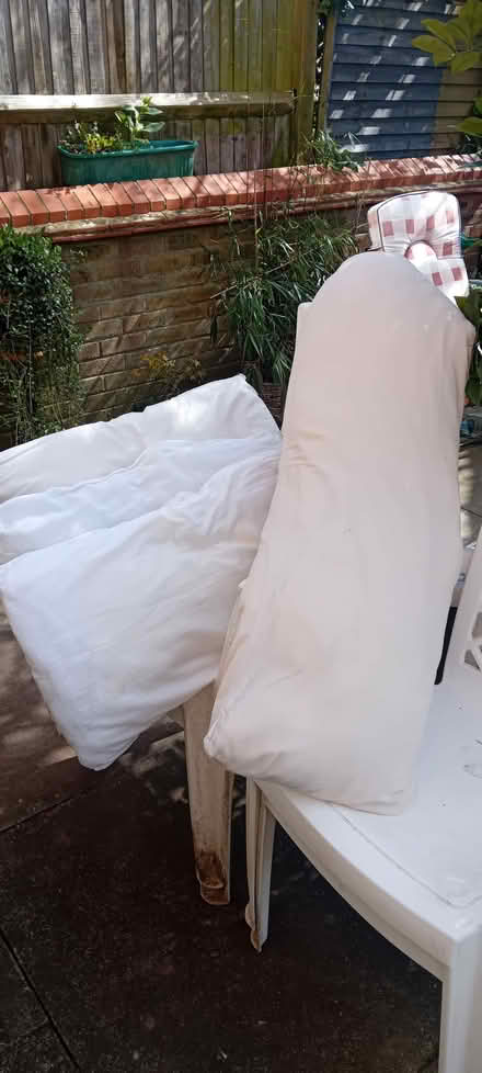 Photo of free old pillows. Good for pets (Whitehawk BN2) #1
