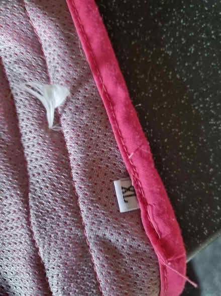 Photo of free Dog nappy for females (SE20) #4