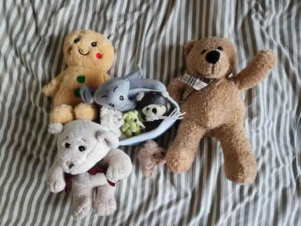 Photo of free Teddy bears, soft toys (Crowmarsh (OX10)) #1