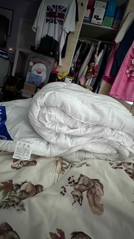 Photo of free Matress topper (Monkwick CO2) #3