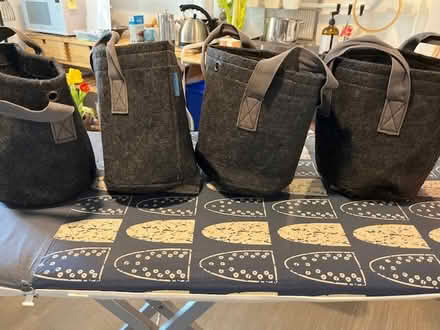 Photo of free 4 fabric grow bags (Golden Triangle) #1