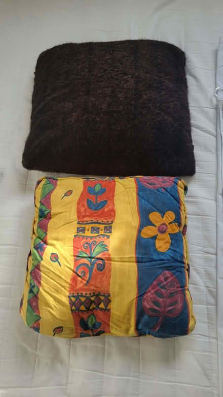 Photo of free Sofa / chair cushions (Northcote Road SW11) #1