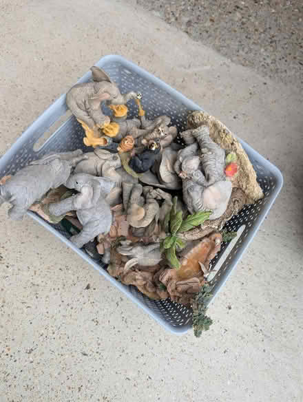 Photo of free Tuskers elephants whole box (Churchgate EN8) #1