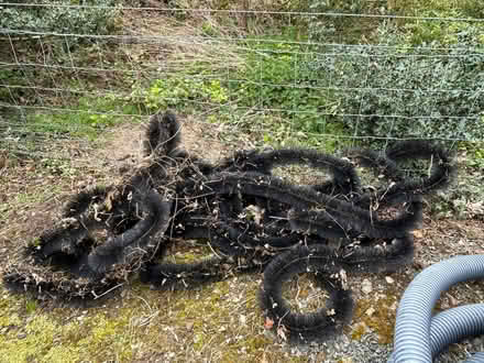 Photo of free Gutter Brush Leaf Guard Protection Highest Best 100mm (Forest Wood LD8) #1