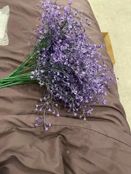 Photo of free fake flowers (Wandsworth SW18) #1