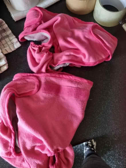 Photo of free Dog nappy for females (SE20) #2
