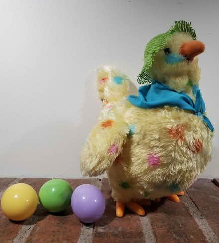 Photo of free Hallmark Egg Laying Easter Chicken (Near Experimental Farm) #1