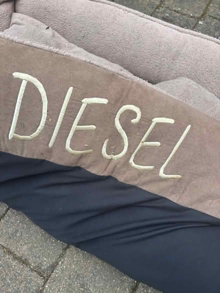 Photo of free Selection of high quality Dog beds (Palmers green, N13) #4