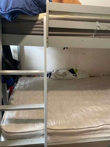 Photo of free Bunk beg frame(double and single) (Watford WD17) #3