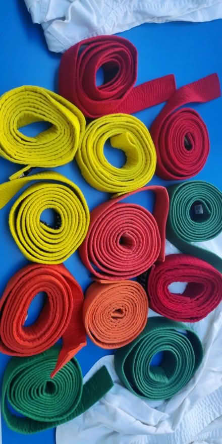 Photo of free Karate belts (Evington Village LE5) #1