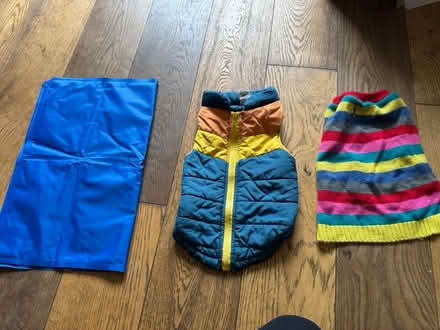 Photo of free Small/medium dog coat & coolingmat (BR3) #1