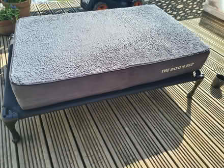 Photo of free Memory foam dog bed and stand (Rishworth HX6) #2