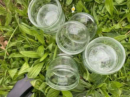 Photo of free 20 ramekins (2 different designs) (Cogges OX28) #2