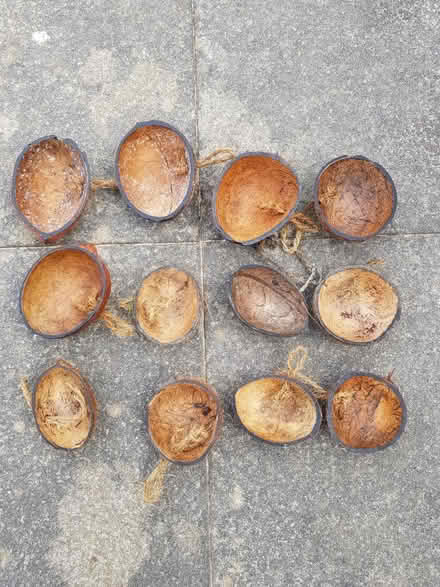 Photo of free Coconut Shells (North Abingdon, OX14) #1