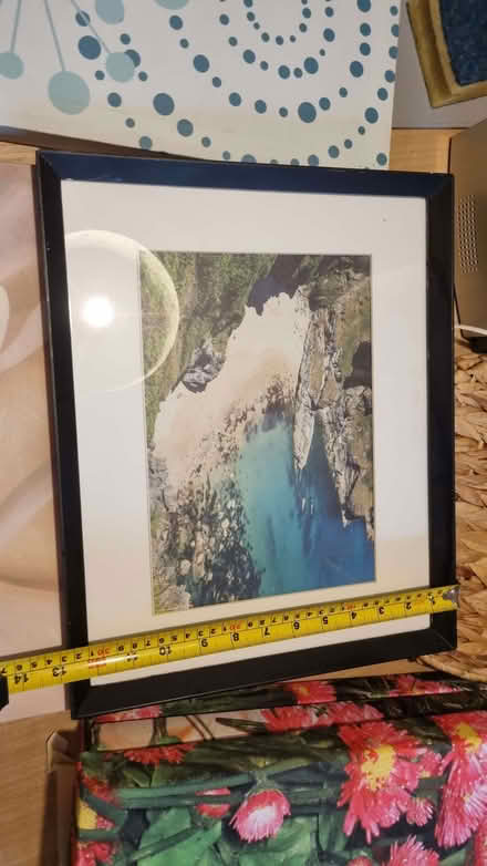 Photo of free Canvas pictures, 1 framed picture, 1 print (cat) (Dunkeswell EX14) #3