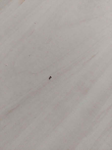 Photo of free Coffee table (GU12) #4