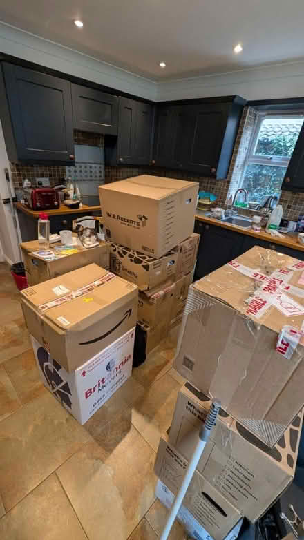 Photo of free Packing boxes (AL2) #1