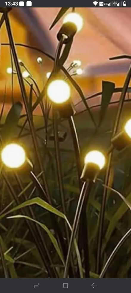 Photo of Garden Lights (Holmfirth HD9) #1