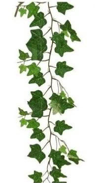 Photo of artificial greenery (Cheadle Heath SK3) #1