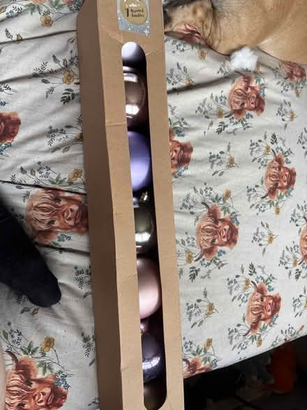 Photo of free Christmas baubles (Calcot RG31) #1