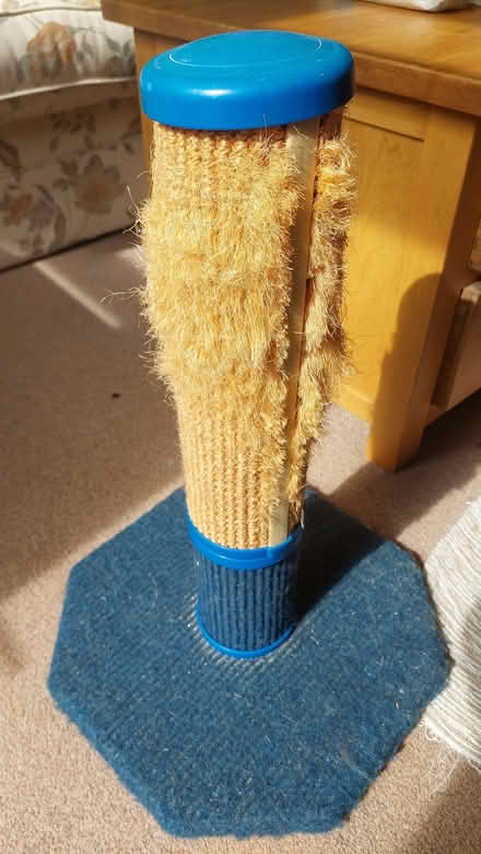 Photo of free Cat scratch post (University Area RG1) #1