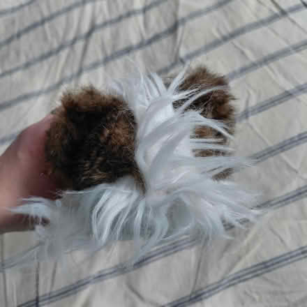 Photo of free Handmade guinea pig plush (Suju's on Decoto Road) #2