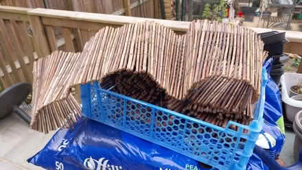 Photo of free Border trim (Fairfield Park) #1