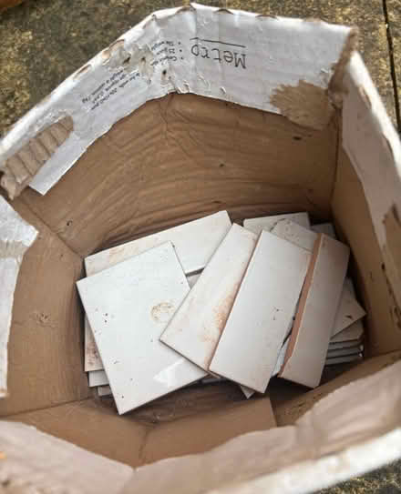 Photo of free Tiles (Ware SG12) #1