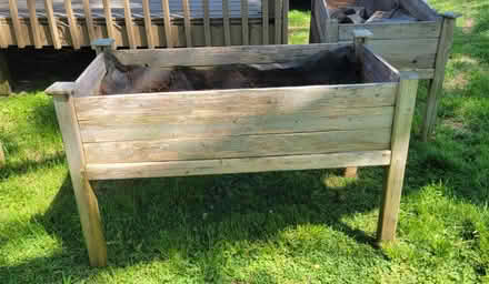 Photo of free Raised cedar planters (Hillwood) #2