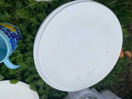 Photo of free Dinner plates & side plates (see all 3 photos) (Cogges OX28) #2