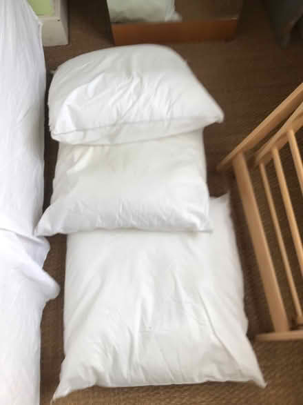 Photo of free 3 x square pillows (Shepherds Bush) #1