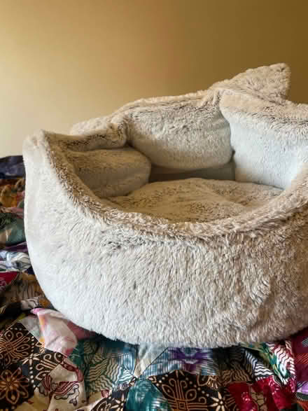 Photo of free Cat bed (SW18) #2