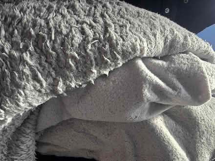 Photo of free Two double fleece sheets. (Malvern Link WR14) #1